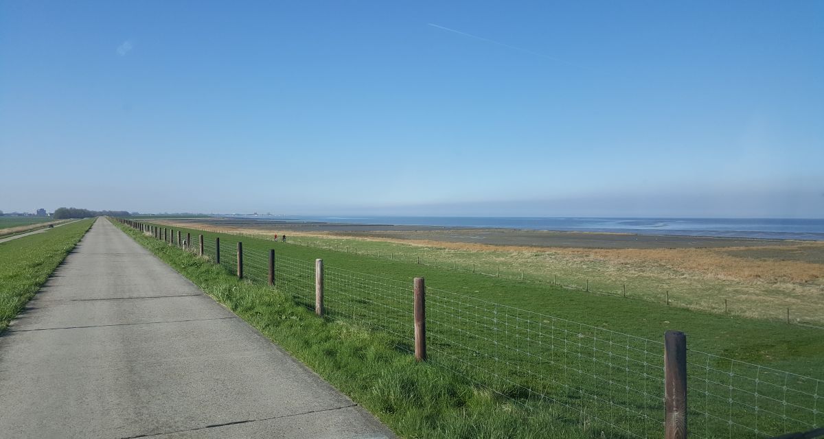 Deich Fahrradweg Friesland Betonstraße Nordsee Zaun