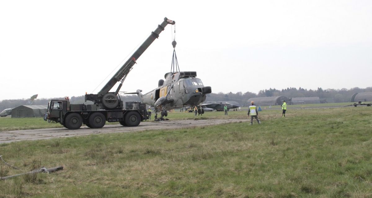 Elephant Recovery 2019