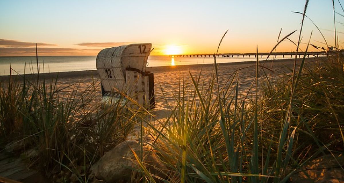 Starndkorb im Schilf vor Sonneanufgang
