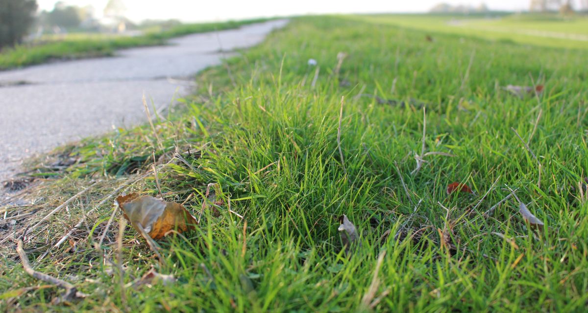 Deichlinie wird weiter ausgebaut