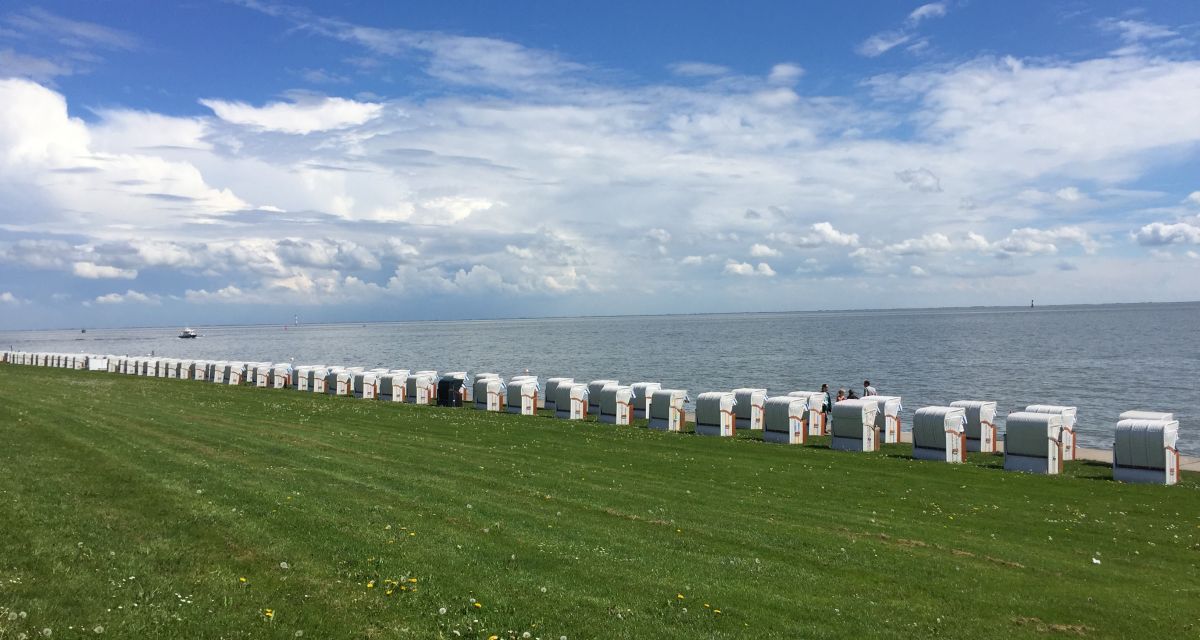 Zu sehen ist eine Wiese, darauf stehen Strandkörbe. Dahinter erstreckt sich das Meer.