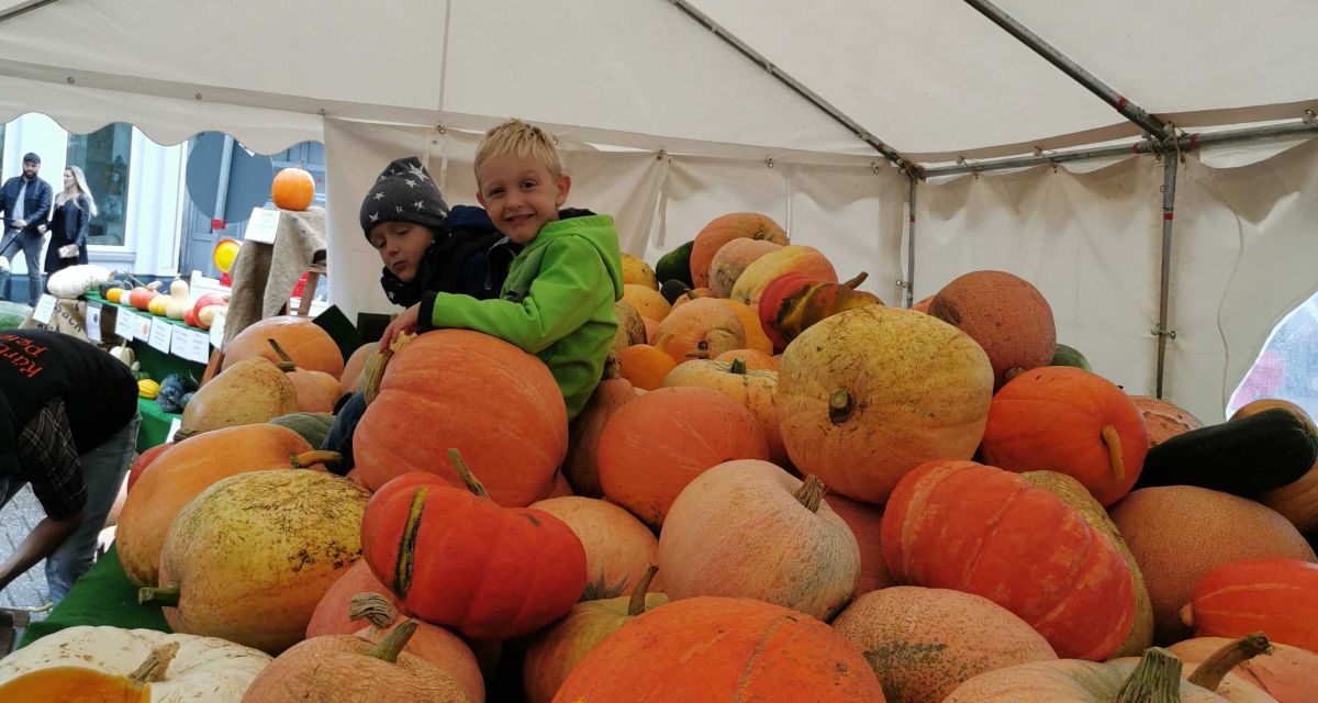 Kürbisfest in Varel gut besucht