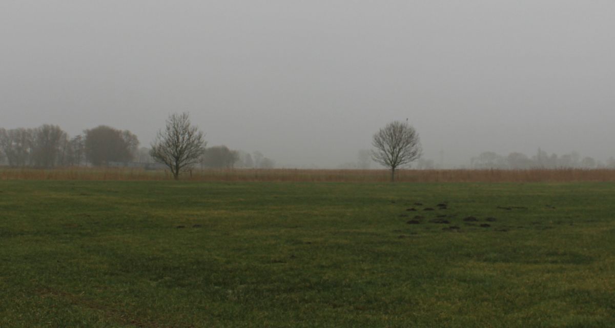 Neue Runde im Wettbewerb „Unser Dorf hat Zukunft“