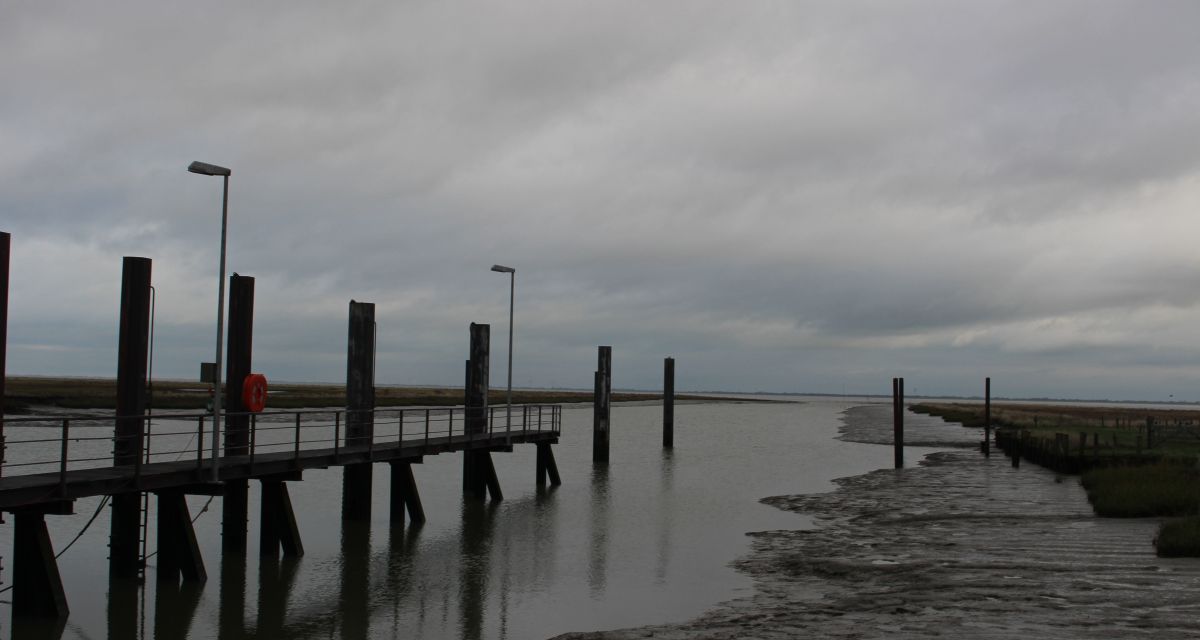 Gewässerverunreinigung im Vareler Binnenhafen