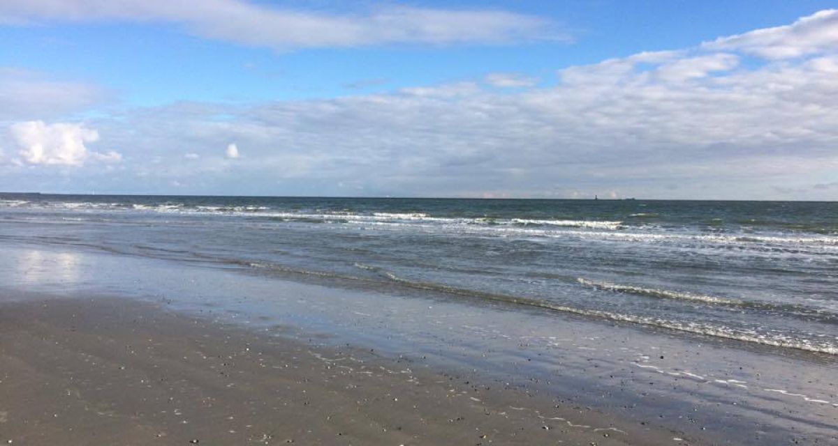 Die Nordsee bei Ebbe. 