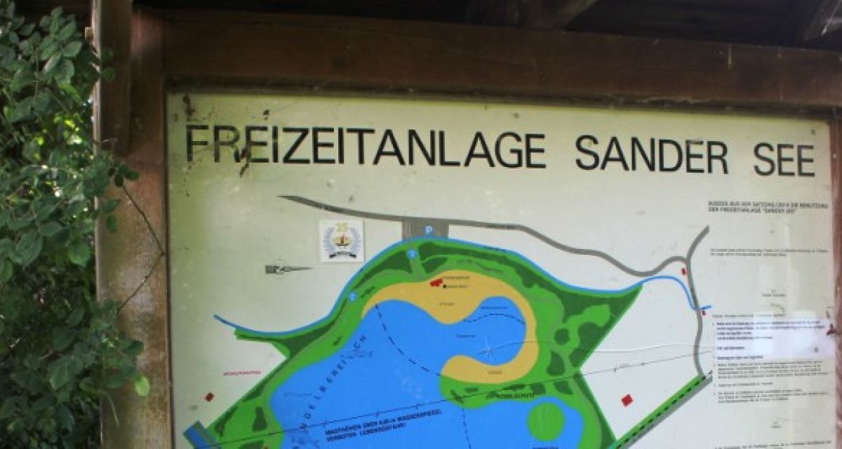 Blaualgen am Sander See