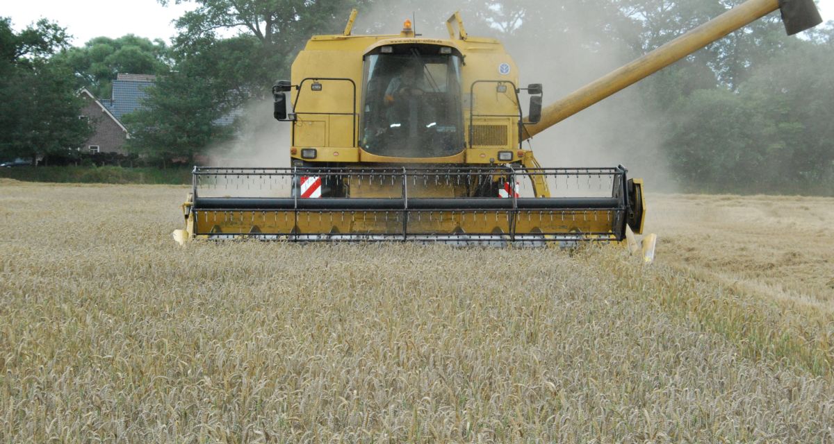 Durchschnittliche Ernte in Niedersachsen