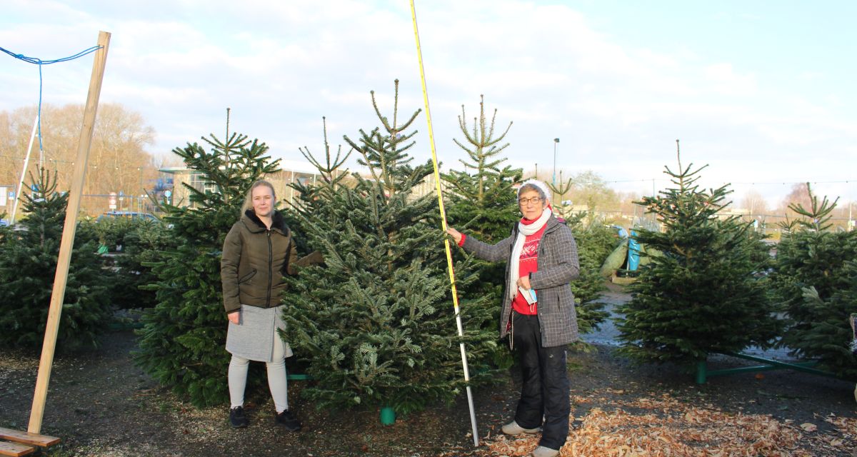 Kindergärten und Hospize erhalten Tannenbaum