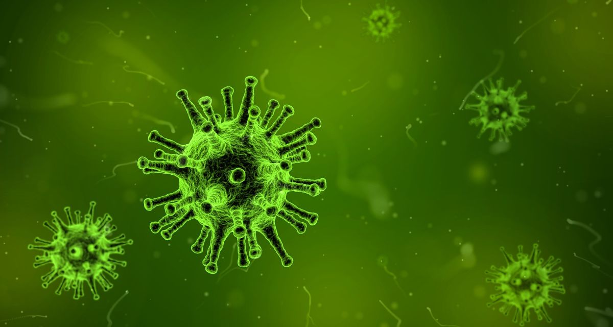 Mehr als die Hälfte der Bevölkerung würde sich gegen das Coronavirus impfen lassen