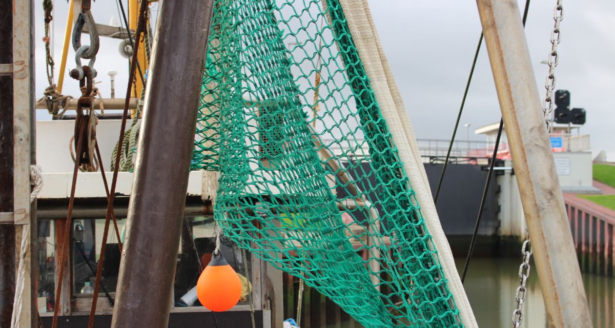 Fischfangquote für die Nordsee festgelegt