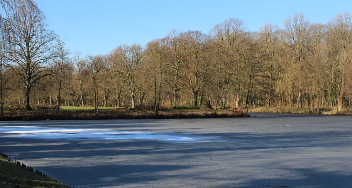 Arbeiten im Rüstringer Stadtpark