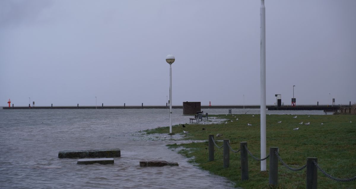Hochwasser überflutetes Vorland Flut Überschwemmung