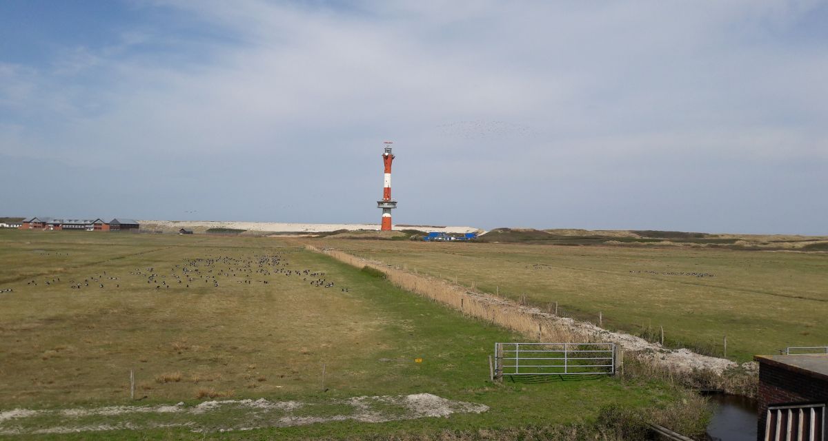 Zu sehen ist der neue Wangerooger Leuchtturm. 