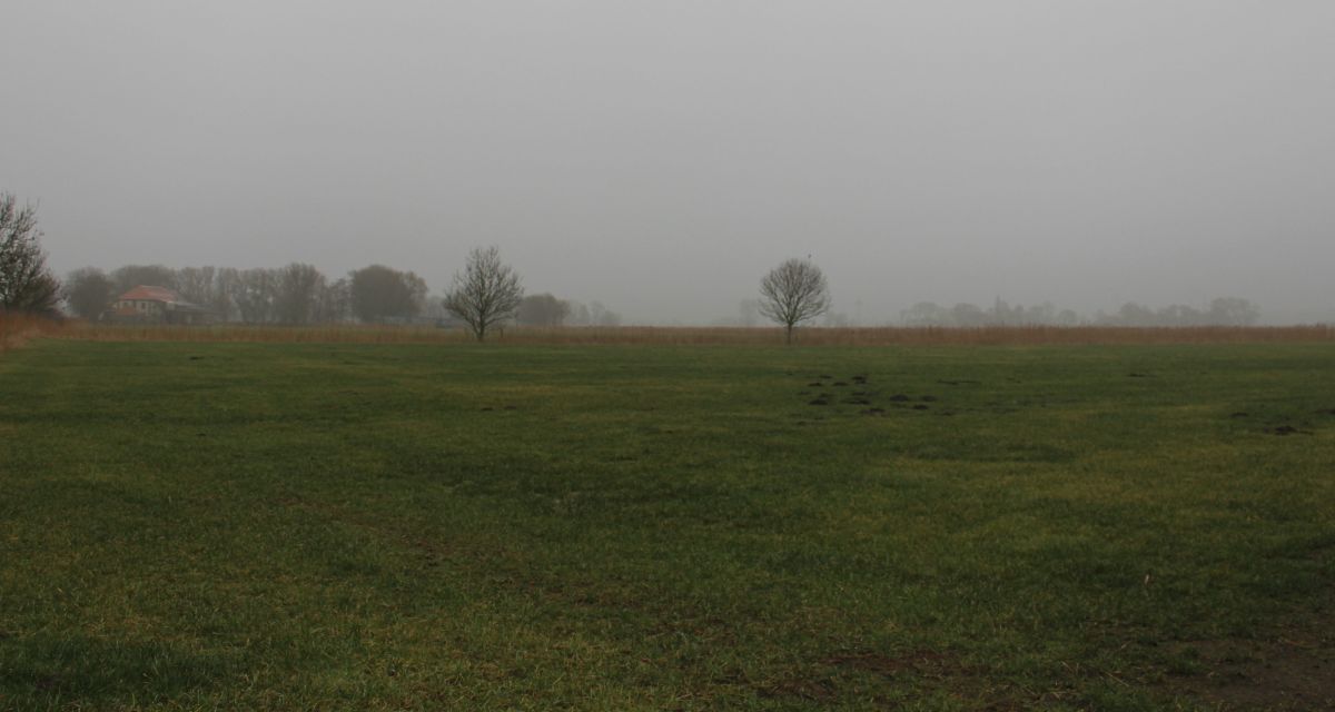 Doch keine Sperrung auf der L810