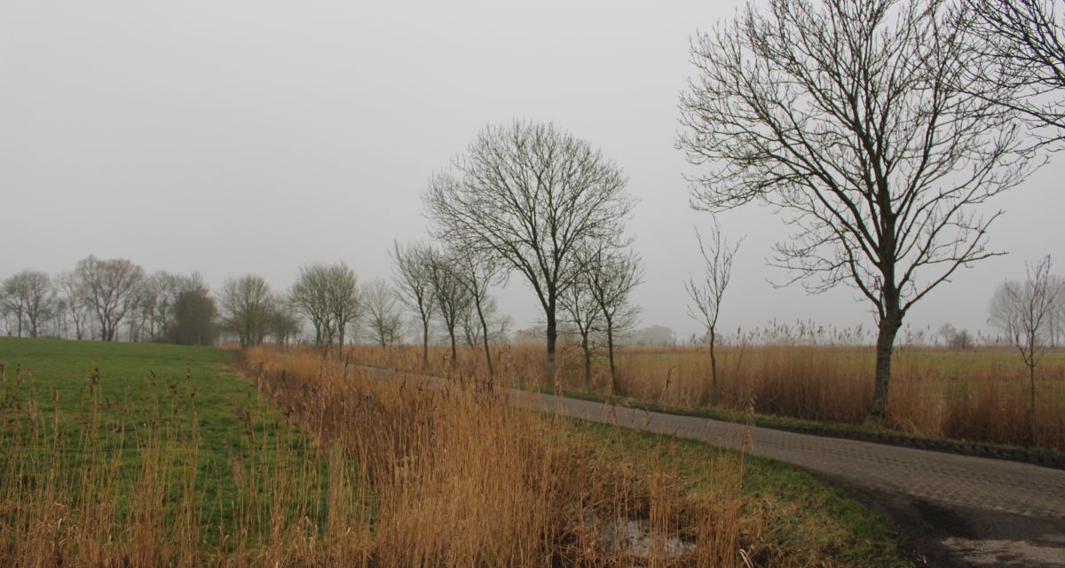 Straßensanierungsarbeiten in Wittmund