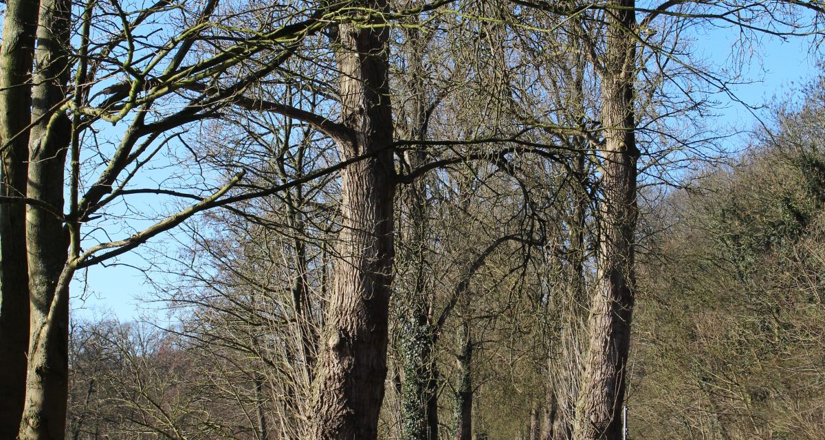 Geänderte Öffnungszeiten zwischen den Tagen in der Region