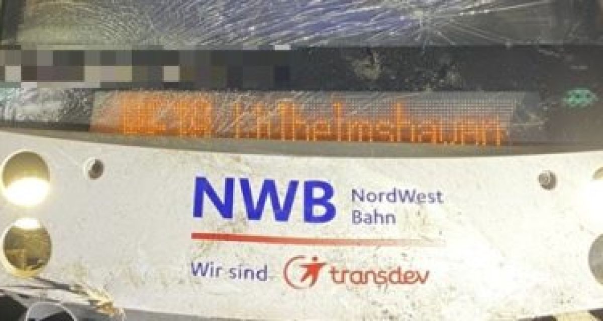 NordWestBahn kollidiert mit Baum