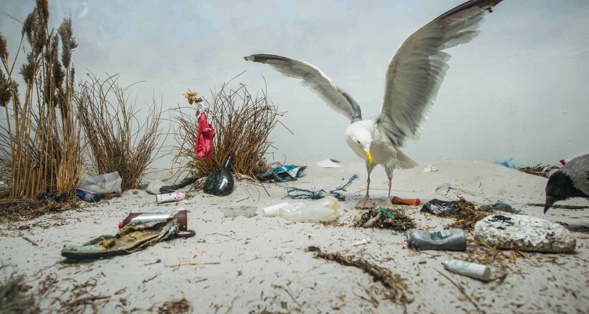 Künftig wohl noch mehr Plastikmüll in der Nordsee