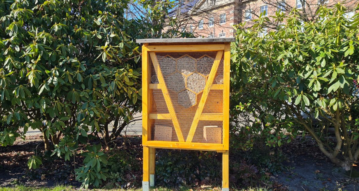 Ein im Rahmen des Projekts 