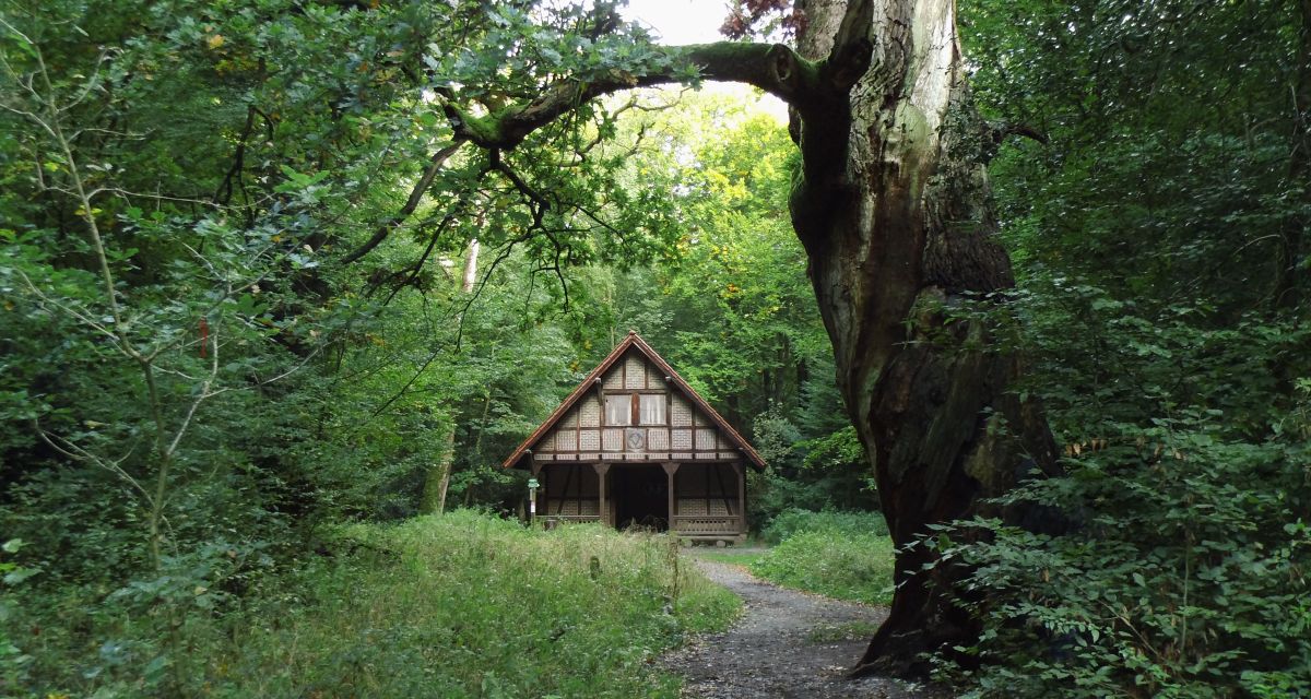 Zu sehen ist eine Hütte in einem Naturschutzgebiet im Landkreis Friesland.