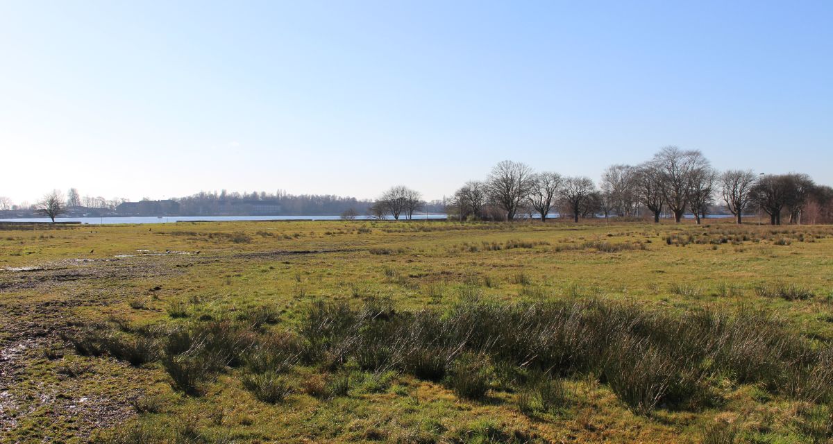 Land informiert zur Grundsteuerreform