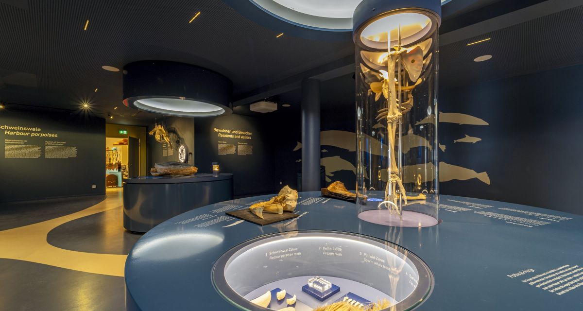 Ausstellung Wattenmeerhaus