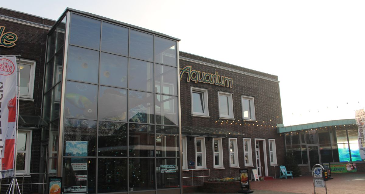 Aquarium Wilhelmshaven feiert 20. Jubiläum mit Meeressauriern