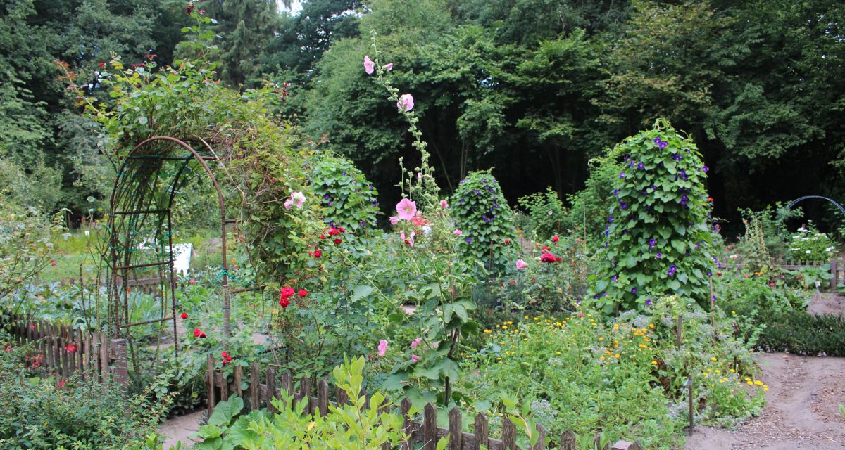 Zu sehen ist ein Teil des Gartens am RUZ Schortens. 