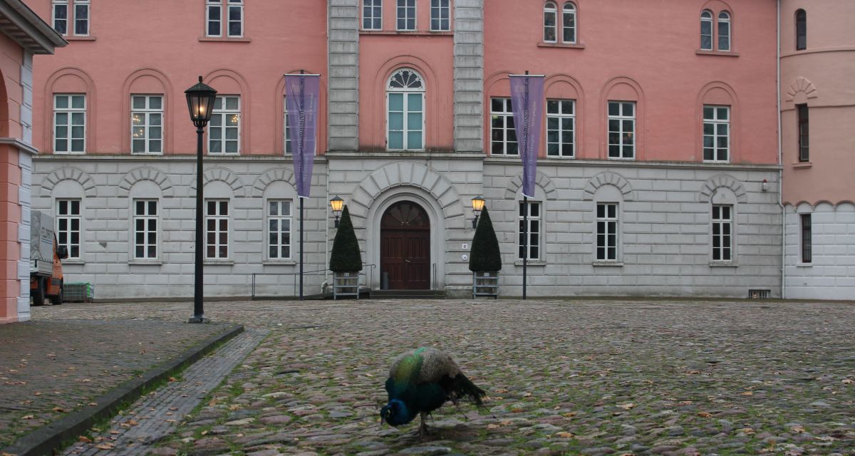 Schlosspark in Jever geschlossen