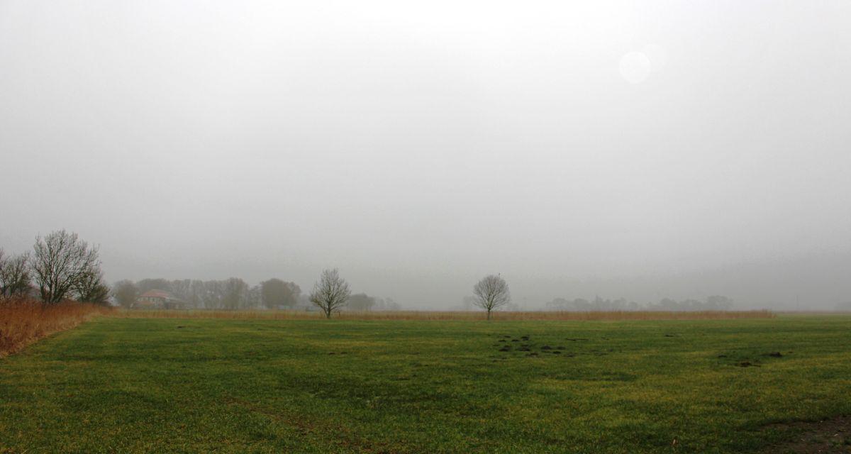 Landschaft im Wangerland