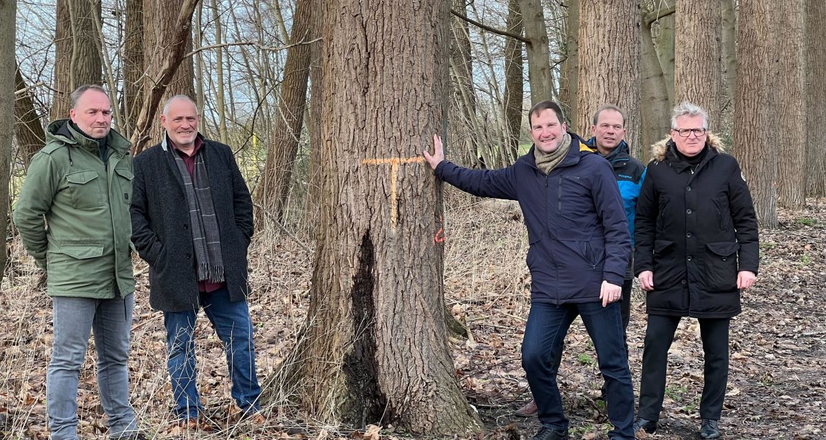 Mitglieder des Stadtrates und der Verwaltung stehen im Pappelwald am Friesendamm in Wilhelmshaven. Die Bäume wurden aus Sicherheitsgründen abgeholzt und durch neue, wetterfestere, ersetzt.