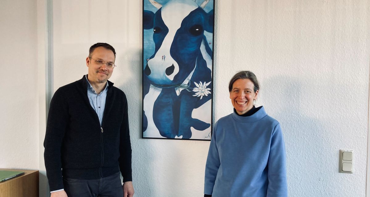 Unsichere Aufgabenverteilung in der Antibiotikaminimierung