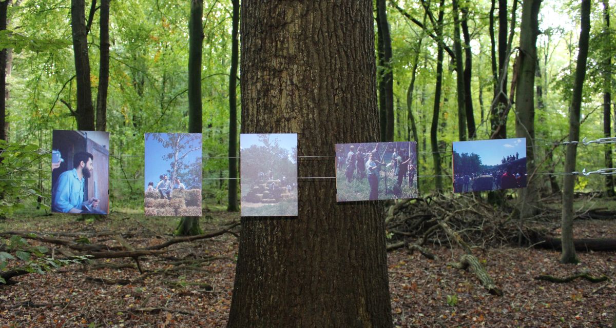 Auf dem Foto ist im Hintergrund ein Wald zu sehen, im Vordergrund ist ein Baumstamm mit fünf Fotografien zu sehen. Darauf sind unter anderem Menschen und Heuballen.