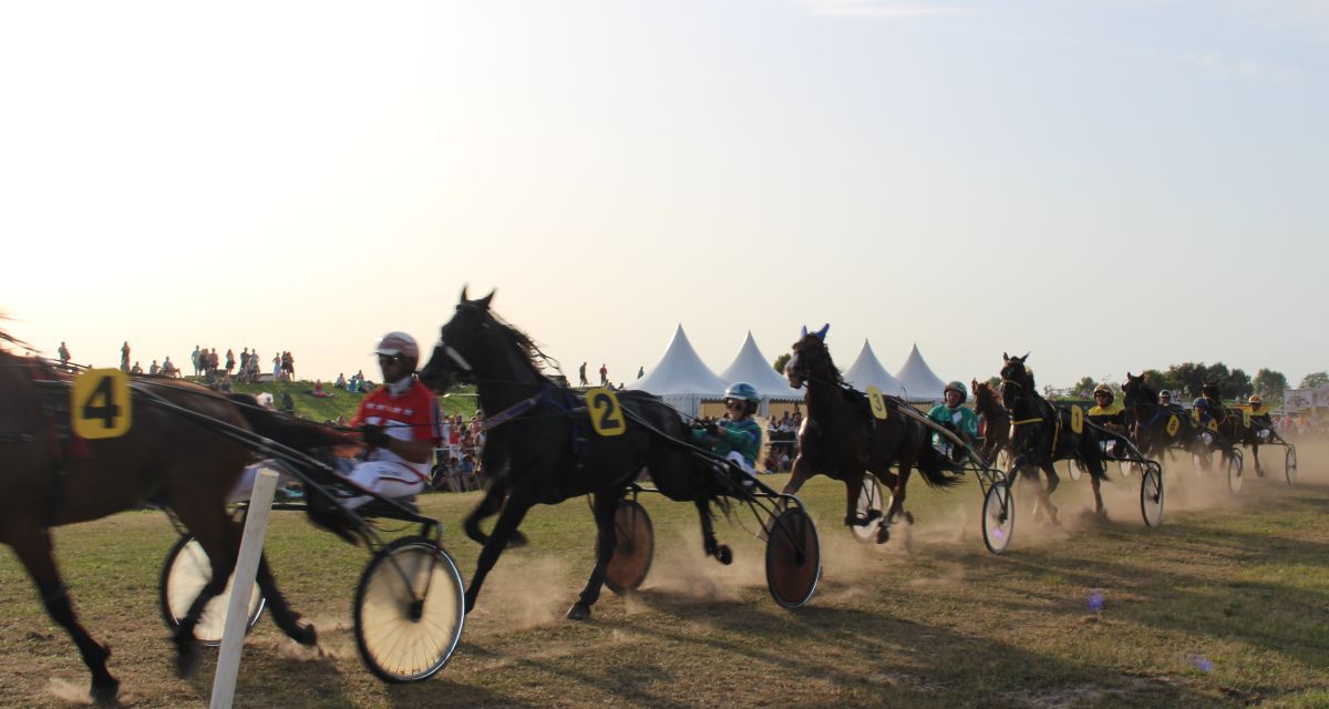 Foto: Sophie Saemann