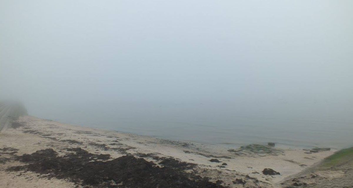 Eintritt für Strände im Wangerland entfällt