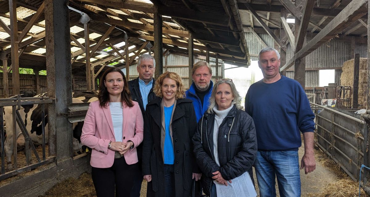 Sondersitzung für Wolfsresolution in Friesland geplant