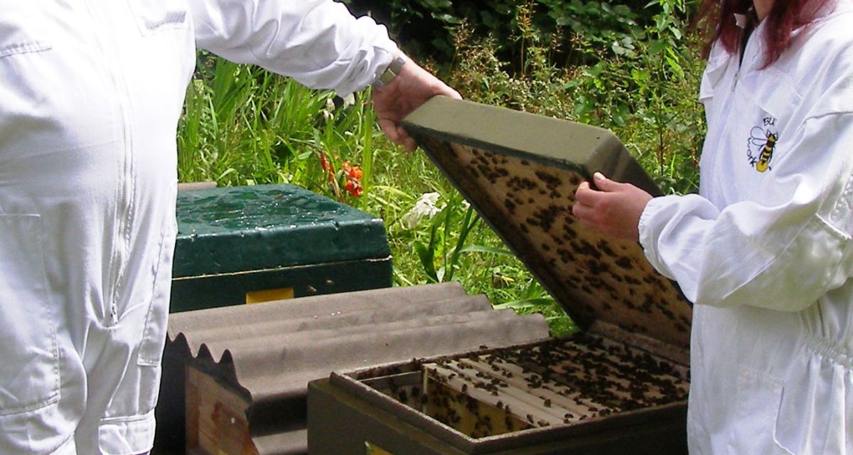 Zu sehen sind ein Imker und eine Imkerin an einem Bienenstock.