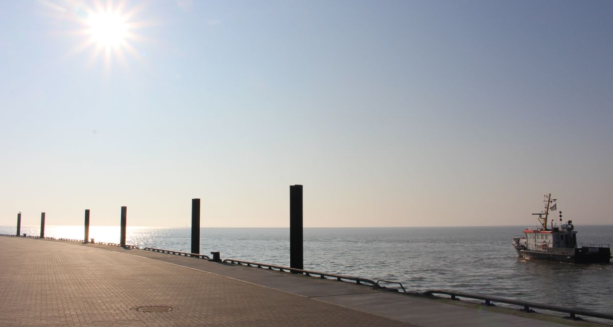 Wilhelmshaven stellt Plattform für Solardach-Pacht