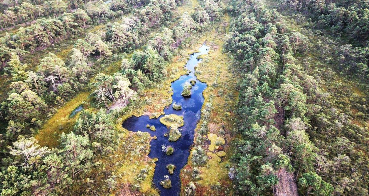 Der alte Torfstich im Otternhagenermoor.