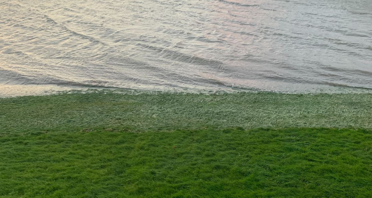 Hochwasser am Südstrand, am Deich ist die Wasserkante auf dem Rasen deutlich zu sehen