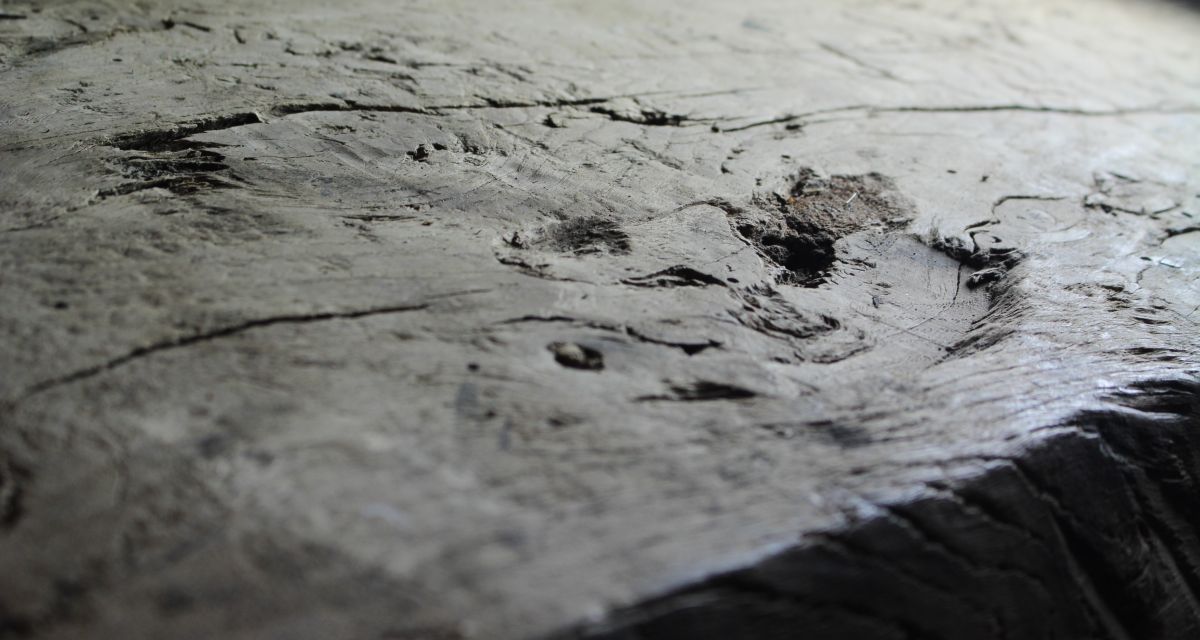 Weniger Holzdiebstähle in Niedersachsen