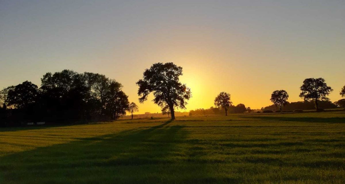 Landwirtschaftsministerium stellt sich für die Zukunft auf