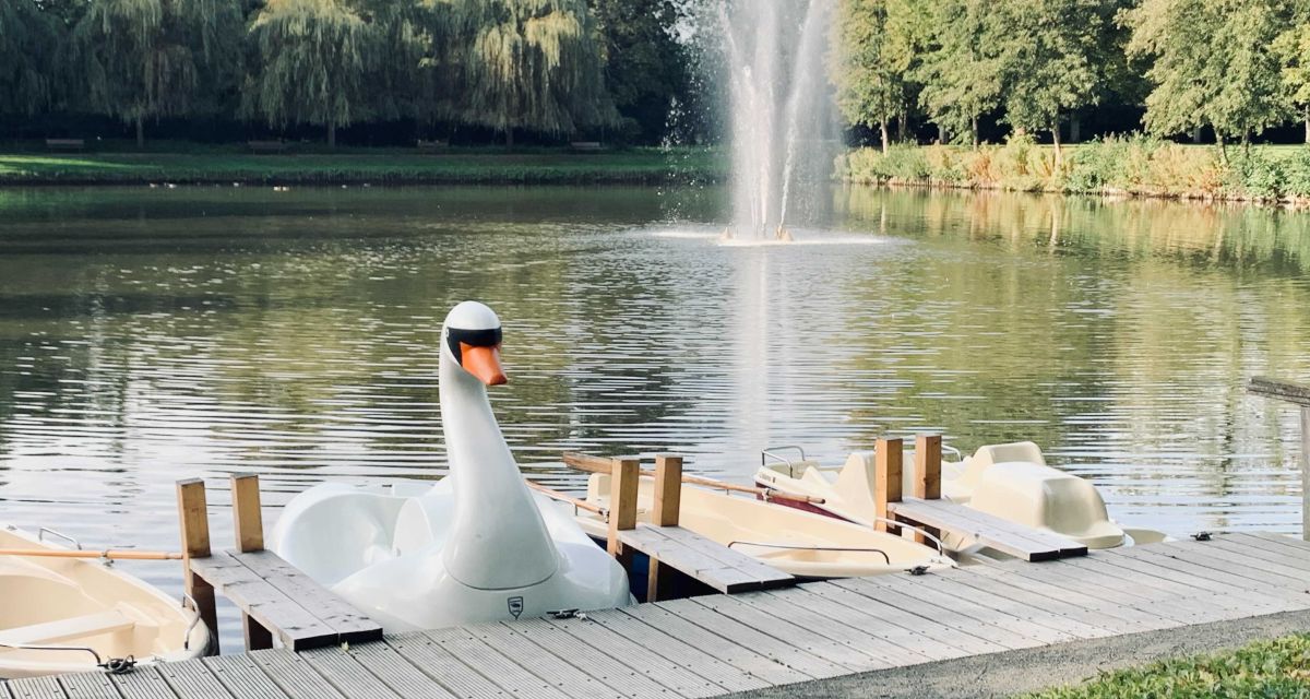 Tret- und Ruderboote auf dem Teich im Rüstringer Stadtpark in Wilhelmshaven