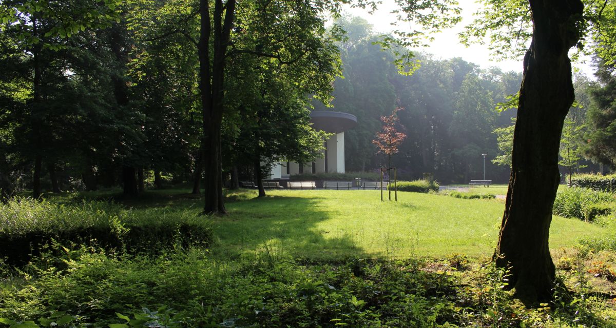 Zu sehen sind Bäume, eine sonnige Wiese und die Musikmuschel im Wilhelmshavener Kurpark.