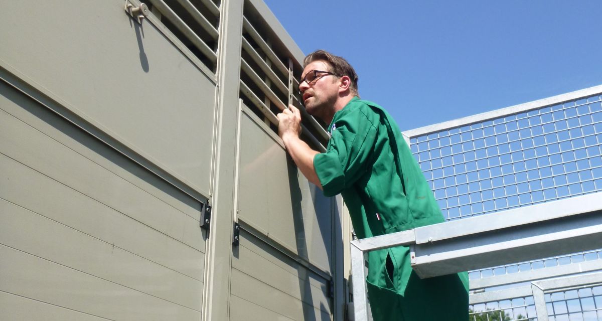 Tierarzt Stefan Wild bei der Kontrolle eines Rindertransportfahrzeuges