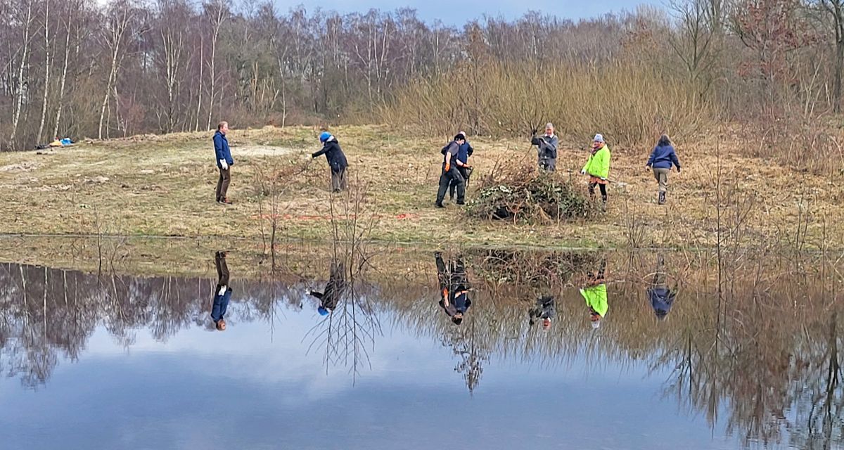 Ehrenamtliche entkusseln die Fläche Klein Wangerooge