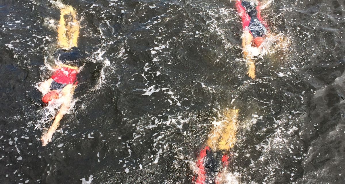 Zu sehen sind drei Schwimmerinnen im Wasser, fotografiert aus der Luft.