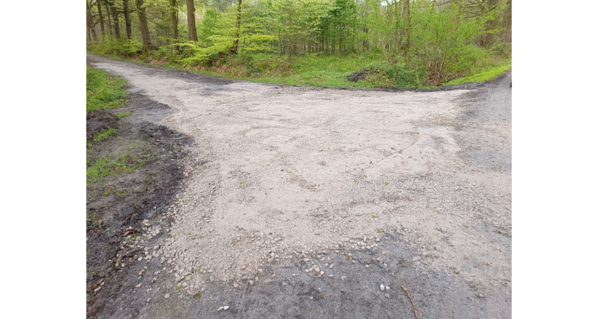 Oelunfall upjever forstamt neuenburg