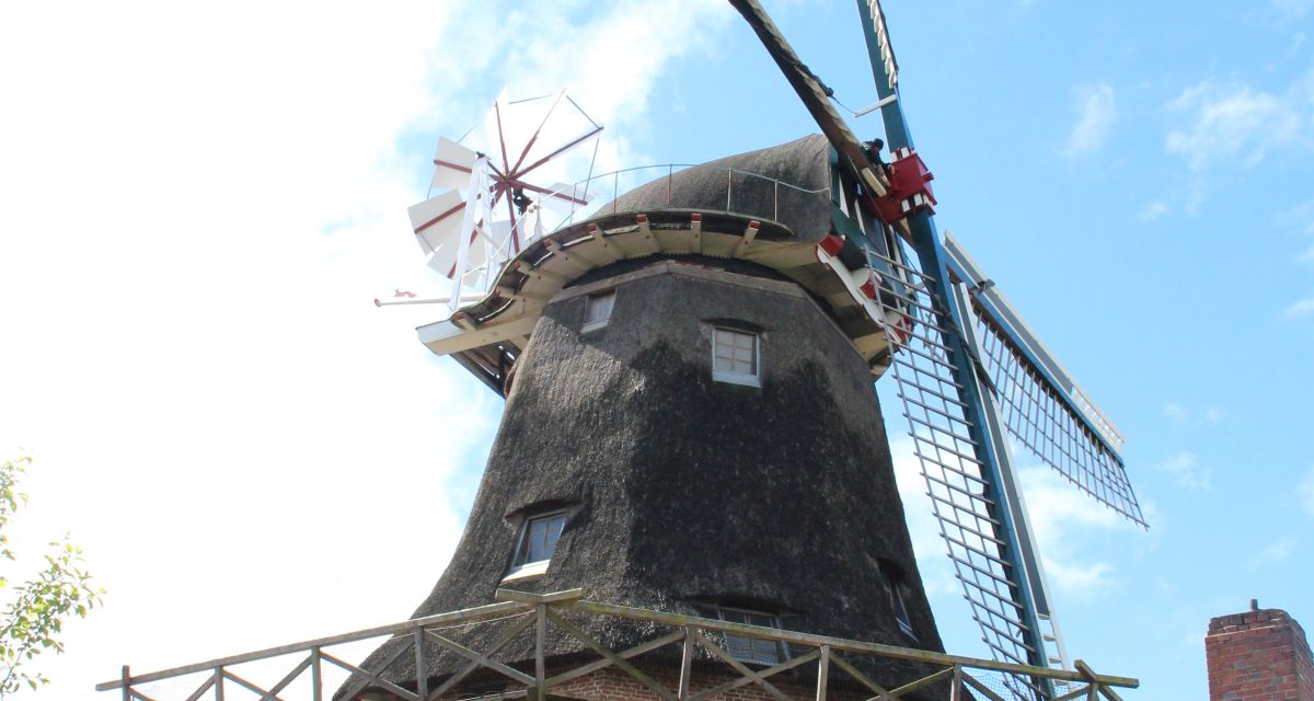 Zu sehen ist die Schlachtmühle in Jever von der Seite. 