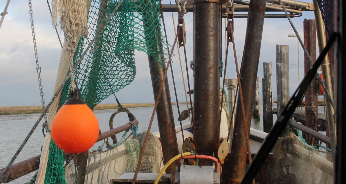 Zu sehen ist die Netzaufhängung eines Krabbenkutters im Vareler Hafen.